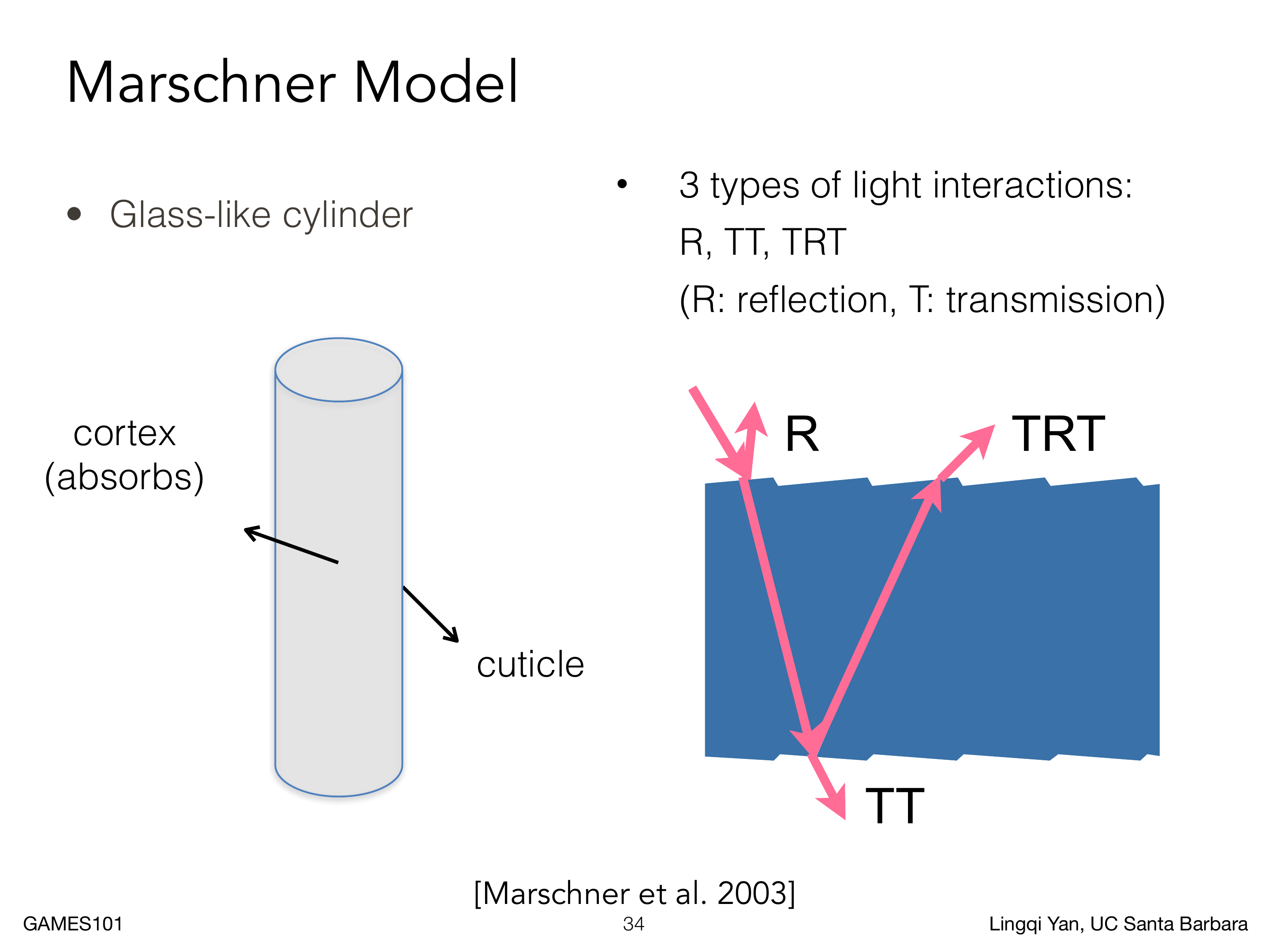 Marschner 模型中的毛发 R、TT 与 TRT 光路
